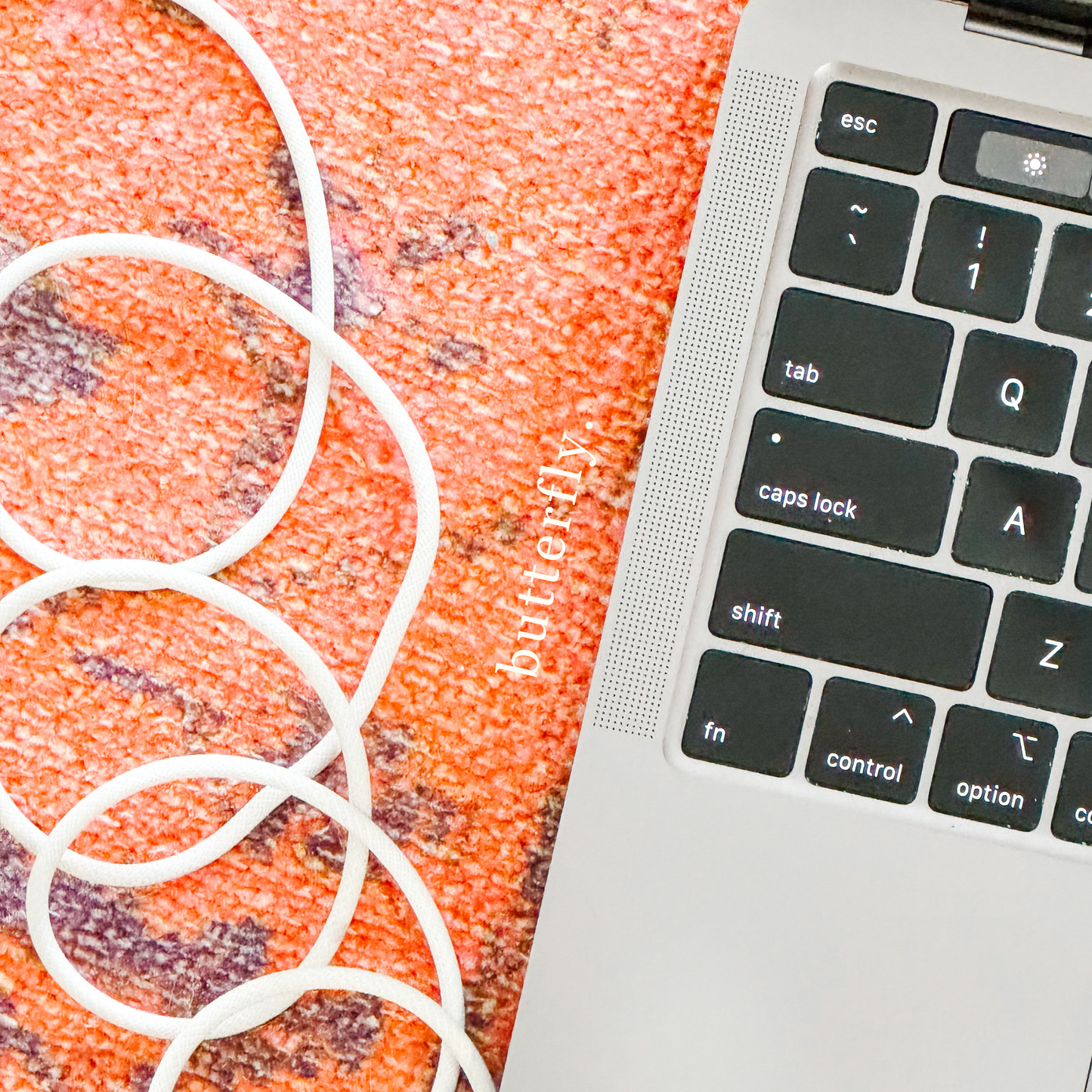 Adding Products + Services to Website